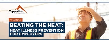 zoom-beating-the-heat