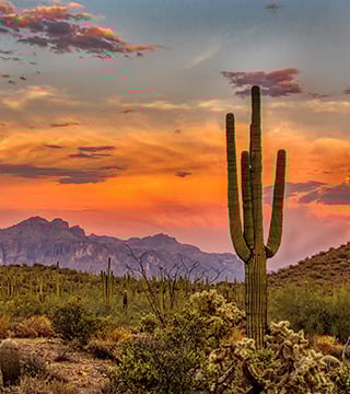 webphoto_33