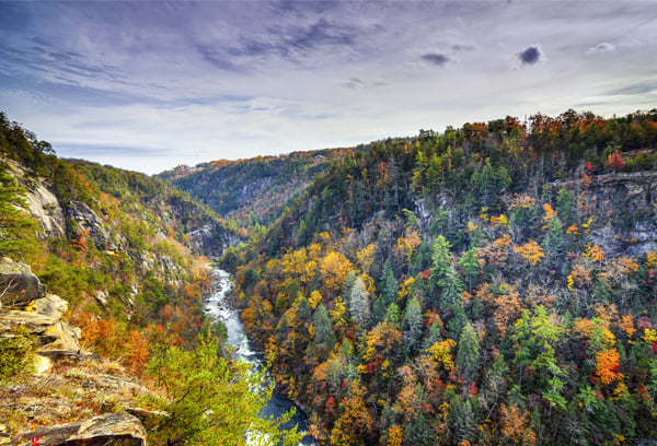 Georgia-600x408