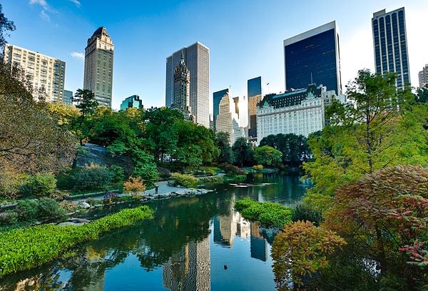 New York-600x408