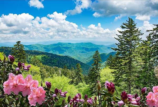 North Carolina-600x408