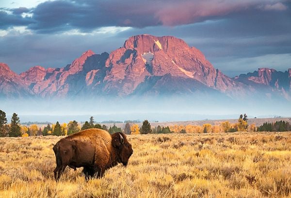 Wyoming-600x408