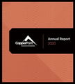promo-2020-annual